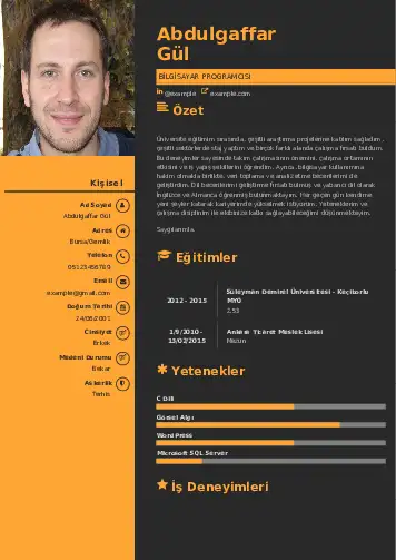 Bilgisayar Programcısı CV Örnekleri cv indir